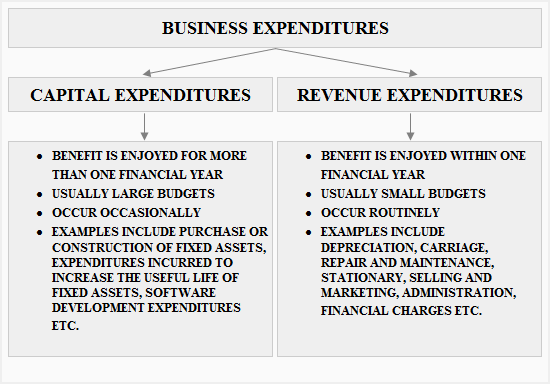 what is capital and revenue expenditure