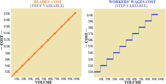 True variable vs step variable cost figures